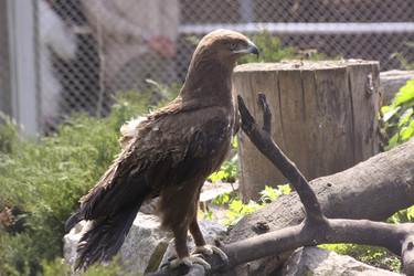 Similar image 647897