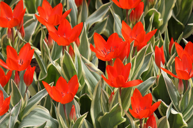 Similar image 647899