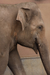 Similar image 647904