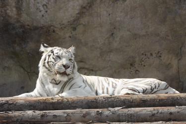 Similar image 647906