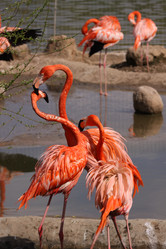 Similar image 647908