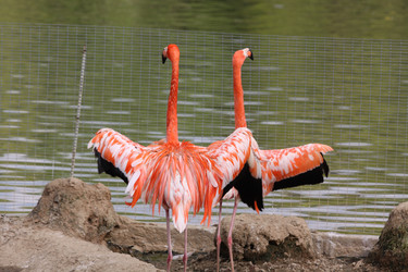 Similar image 647910