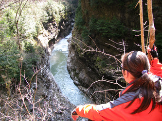 Similar image 647912