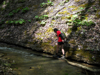 Similar image 647915