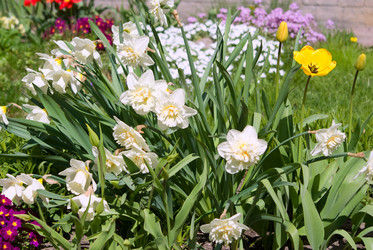 Similar image 647916