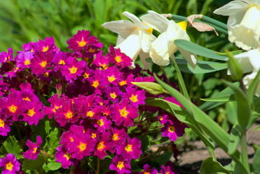 Similar image 647918