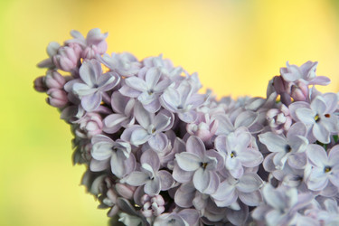 Similar image 647971