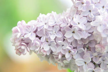 Similar image 647973