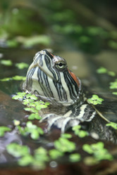 Similar image 647975