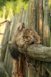 Similar image 647978