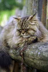 Similar image 647979