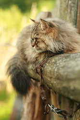 Similar image 647980