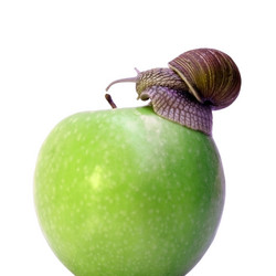 Similar image 647983