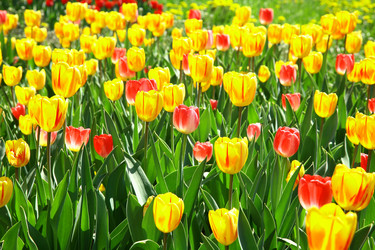 Similar image 647993