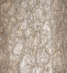 Similar image 648098