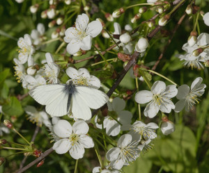 Similar image 648099