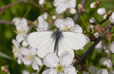 Similar image 648100