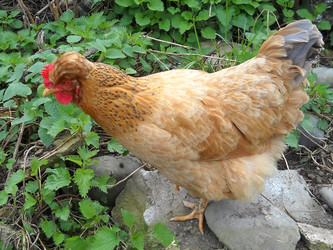 Similar image 648134