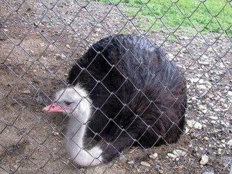 Similar image 648142