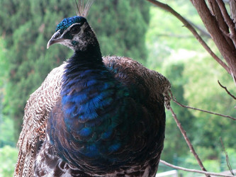 Similar image 648146