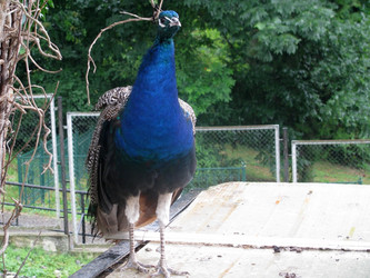 Similar image 648147