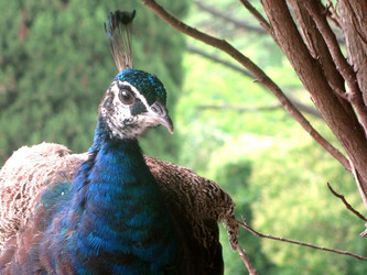 Similar image 648149