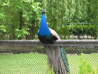 Similar image 648150