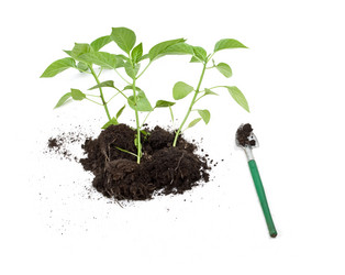 Similar image 648159