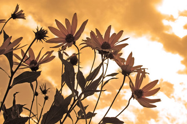 Similar image 648173