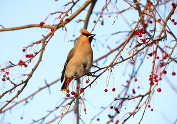 Similar image 648223