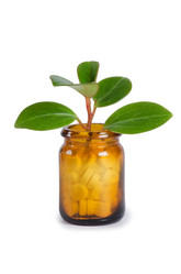 Similar image 648243