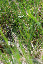 Similar image 648246