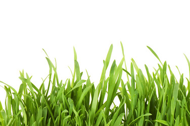 Similar image 648257