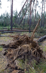 Similar image 648293