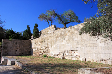 Similar image 648296