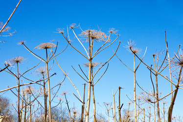 Similar image 648320