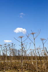 Similar image 648321