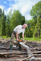 Similar image 648339