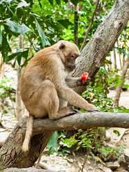 Similar image 648377