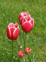 Similar image 648426