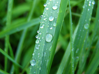 Similar image 648430