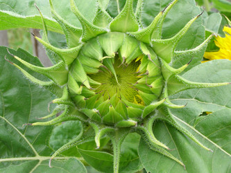 Similar image 648436