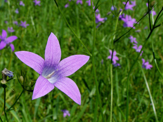 Similar image 648439