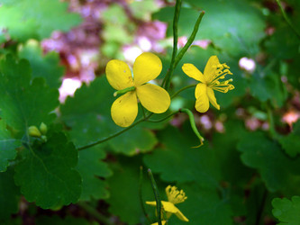 Similar image 648441