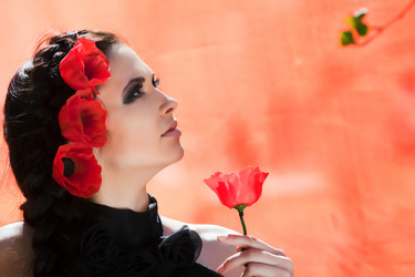 Similar image 648447