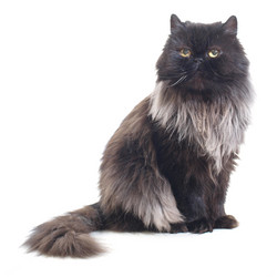 Similar image 648464