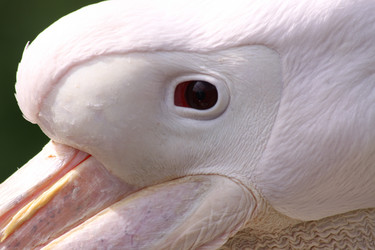 Similar image 648470