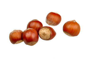 Similar image 648471