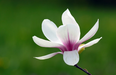 Similar image 648489