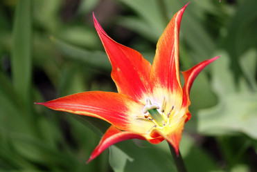 Similar image 648490